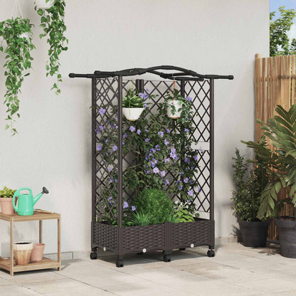 Cama Elevada Con Trellis Y Techo Marrón 124 X 40 X 129 Cm Pp_1