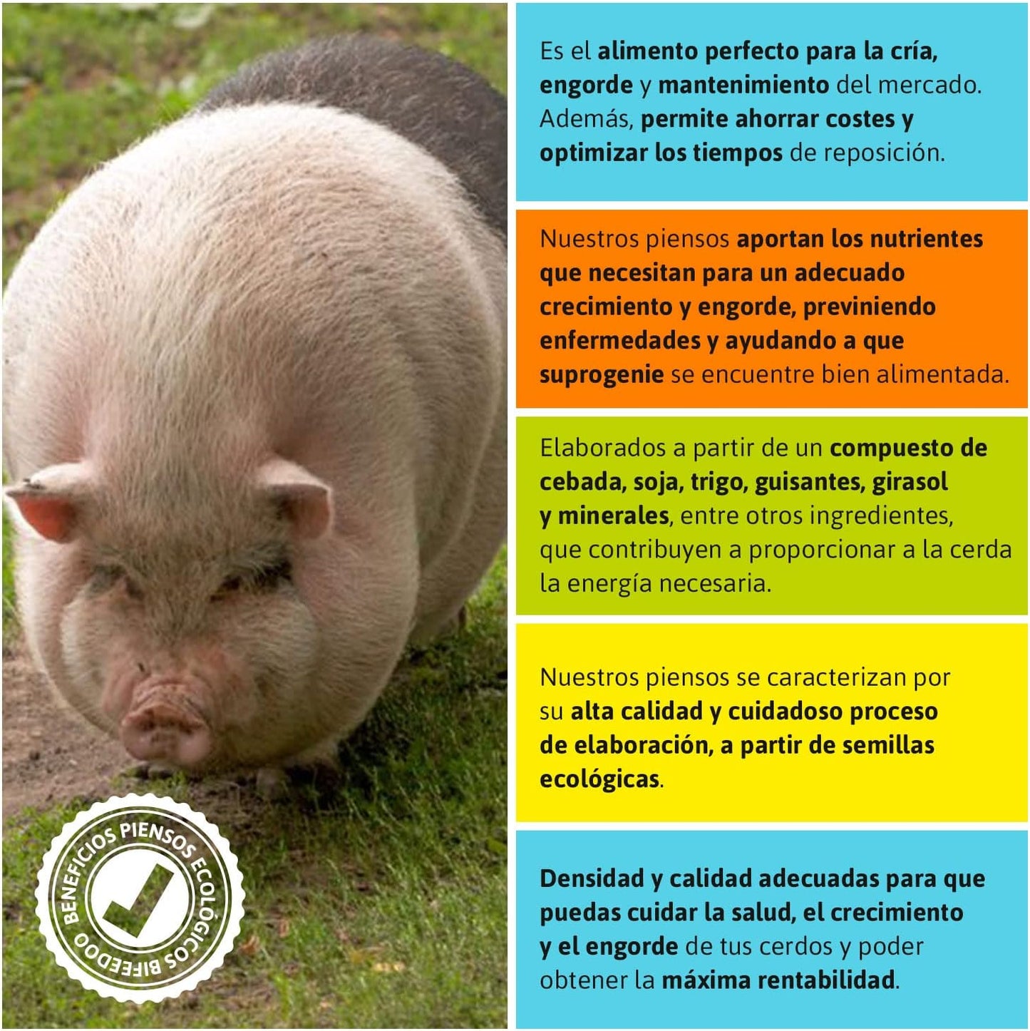 Pienso ECOLÓGICO para Cerdas Lactantes 20 kg – Comida Nutritiva y Natural para Producción de Leche Óptima Energía_3