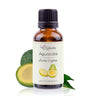 Óleo de Abacate Orgânico Labiatae 30 ml
