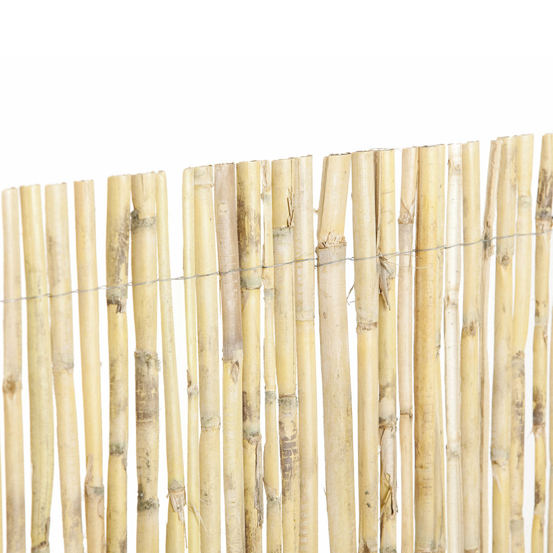 Cañizo Media Caña Natural - Tejido Duradero - 1x5 M - Multicolor_1
