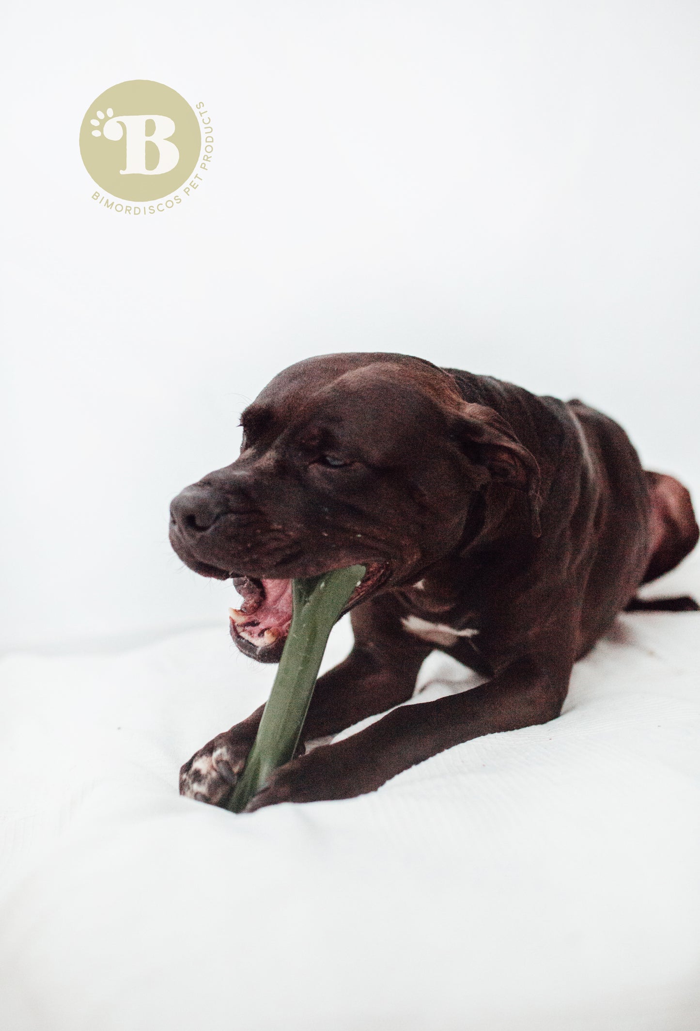 Bimordiscos Juguete Indestructible Para Perros · Hueso Para Perros.