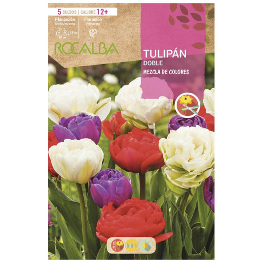 Mistura para bolbos de tulipa dupla 5 unidades Rocalba