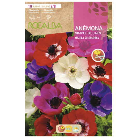 Mix de bolbos de anémona Caén 10 unidades Rocalba