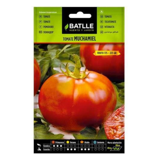 Sementes de tomate Muchamiel