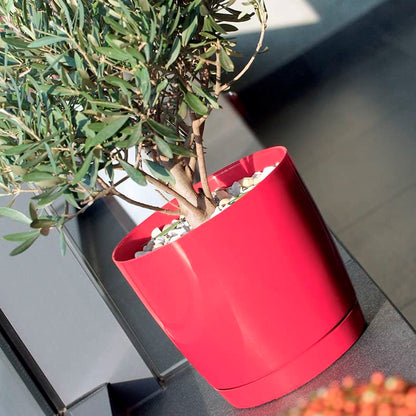 Maceta Redonda De Plastico Coubi Round P En Color Crema 12 (largo) X 12 (ancho) X 11 (altura) Cm