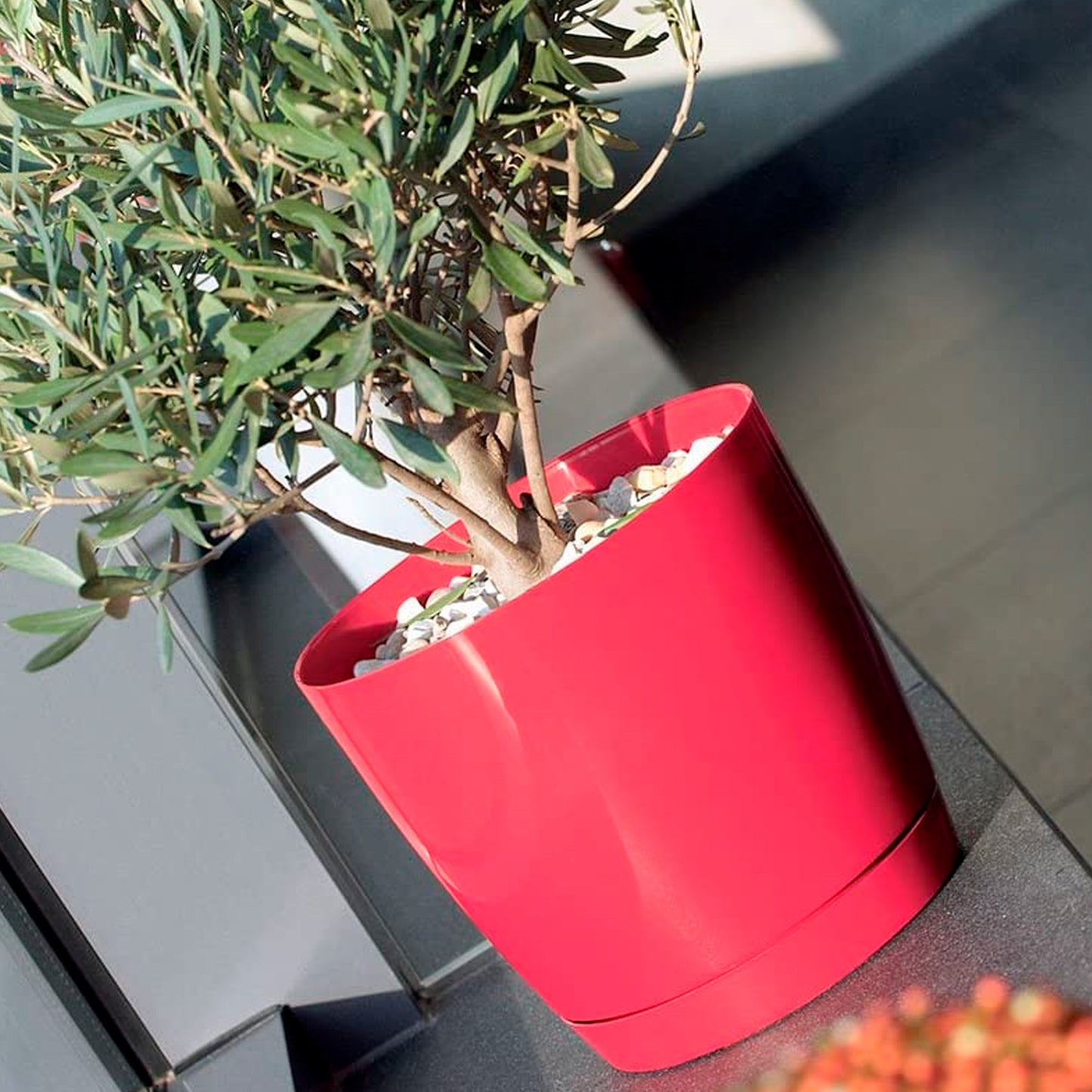 Maceta Redonda De Plastico Coubi Round P En Color Cafe Con Leche 13,5 (largo) X 13,5 (ancho) X 12,4 (altura) Cm