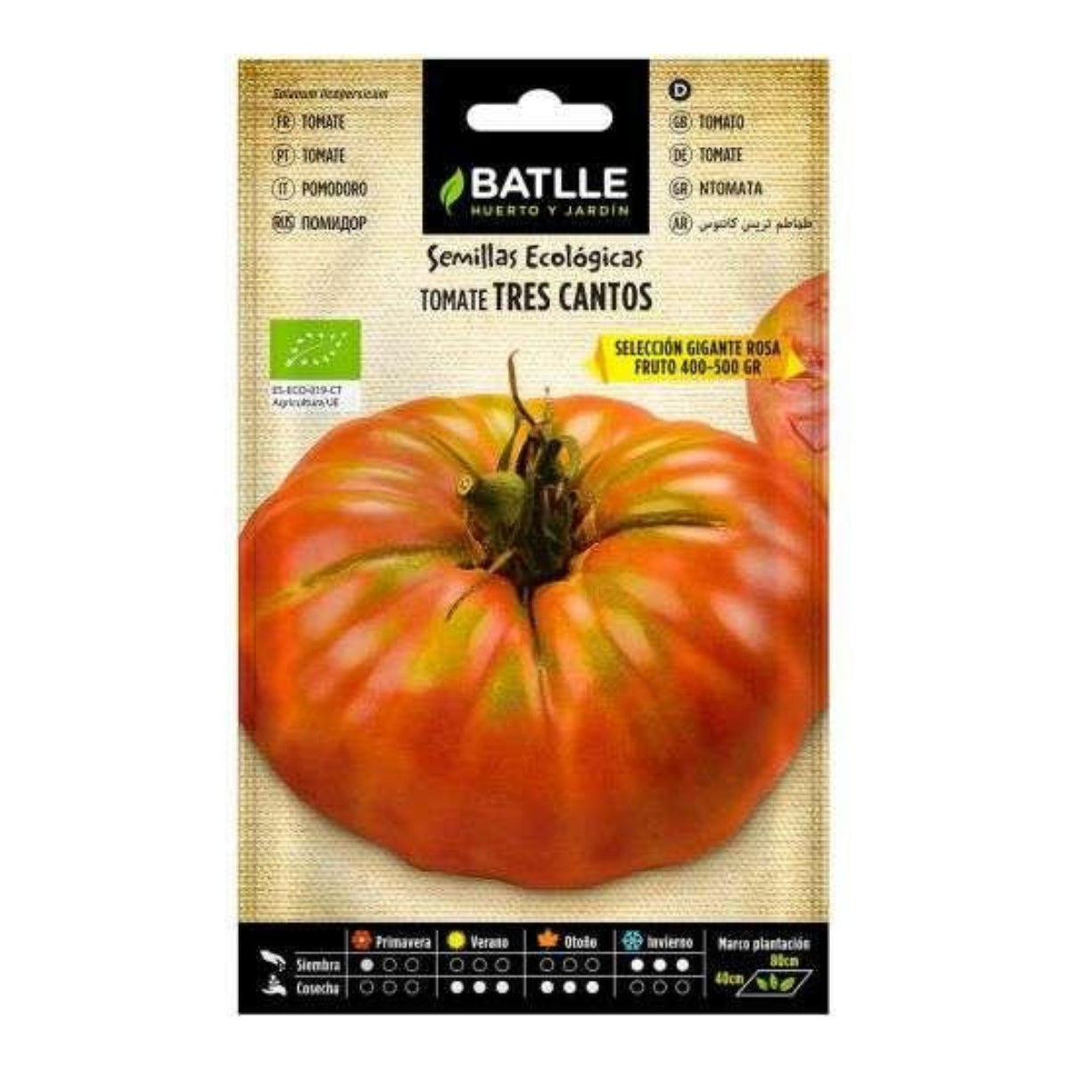 Sementes orgânicas de tomate gigante rosa Tres Cantos Batlle