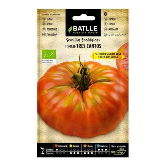 Sementes orgânicas de tomate gigante rosa Tres Cantos Batlle