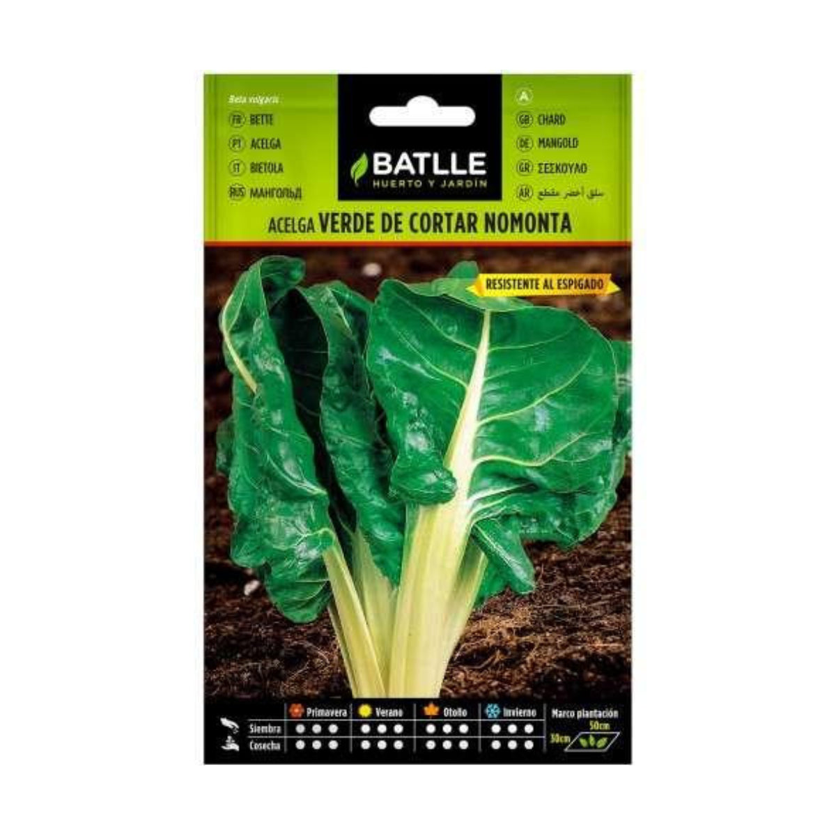 Sementes de acelga verde Batlle Nomonta