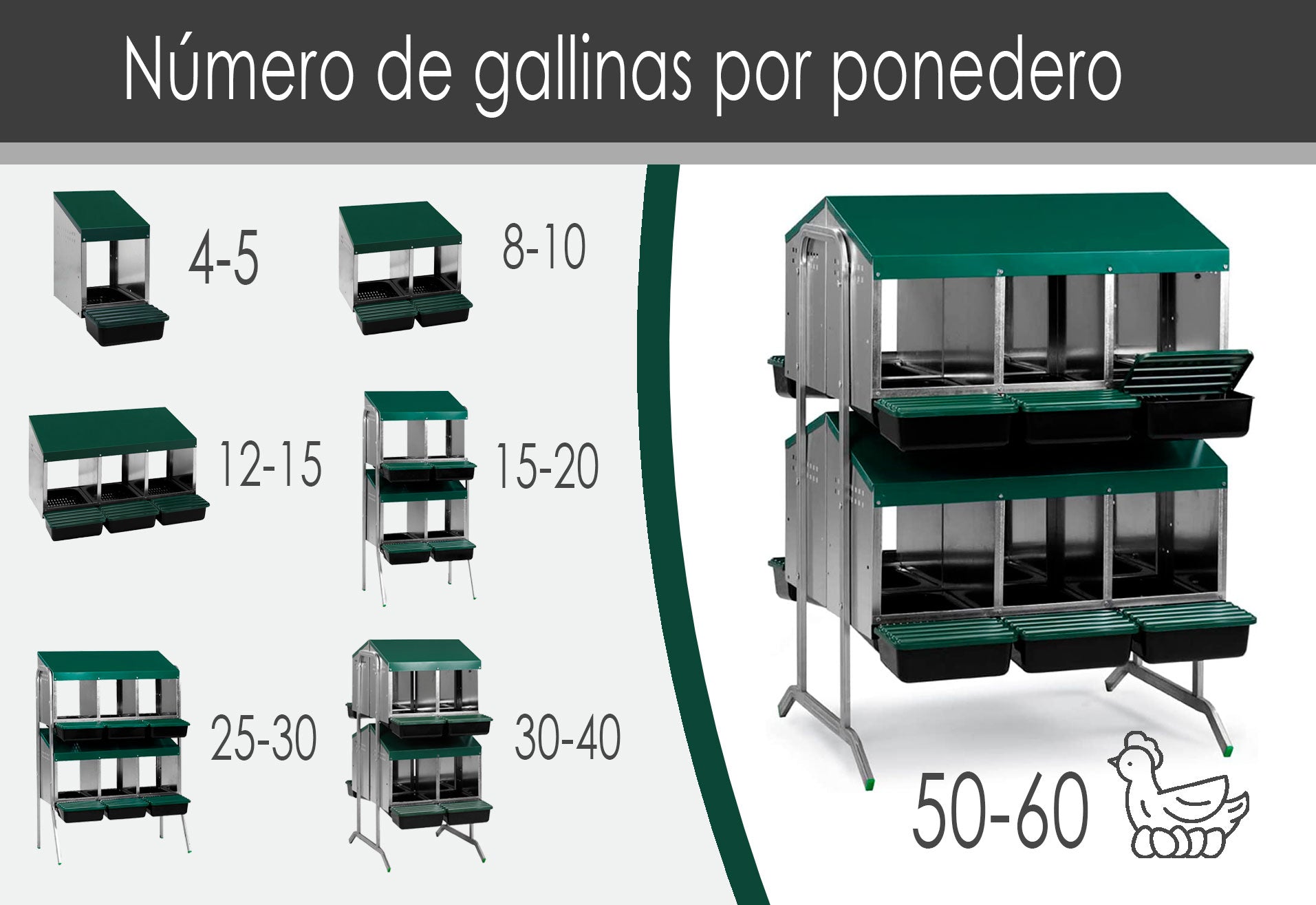 Ponedero Para Gallinas Con Cajón Escamoteador - 12 Huecos_1