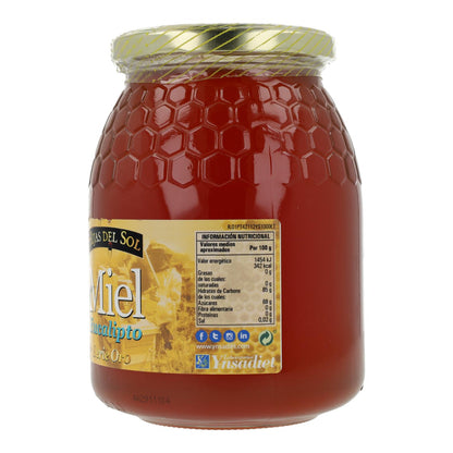 Mel de Eucalipto 1 Kg Ynsadiet
