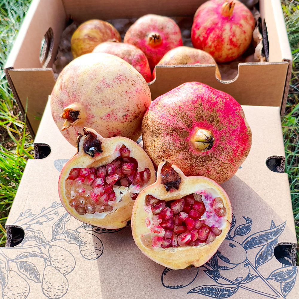 Caja 10kg Granada Fruta Fresca_5