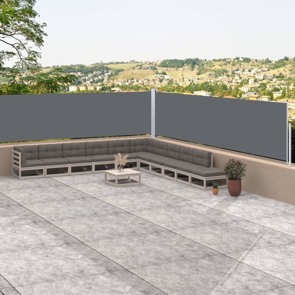 Vidaxl Toldo Lateral Retráctil Antracita 117x1000 Cm_1