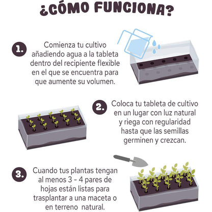 Comprimido para cultivo de pipocas