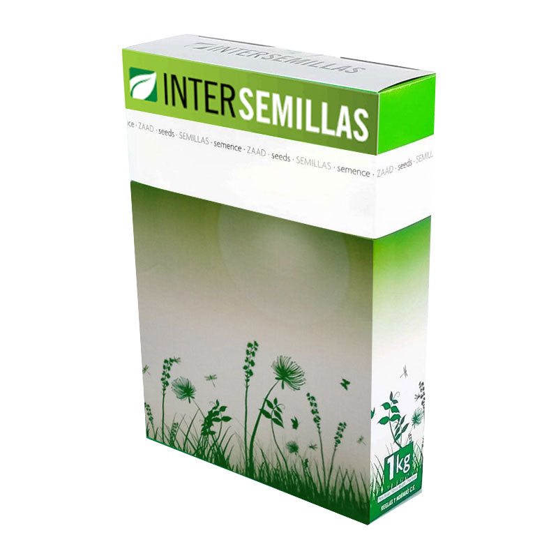 Semillas De Trifolium Incarnatum Caja 1 Kg._0