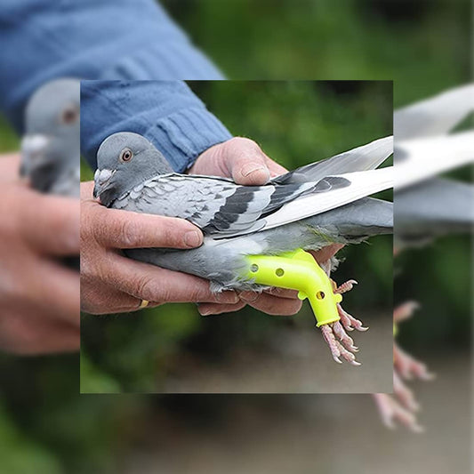 Finca Casarejo Prótesis Para Palomas - Inmoviliza Los Tarsos De Tus Aves Para Corregir Lesiones - Pack De 2 Unidades (re_0