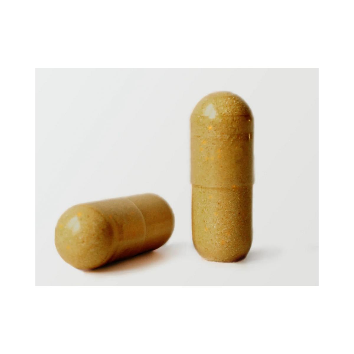 Cardo Mariano com Alcachofra, Cúrcuma, Dente-de-leão e Desmodium 150 cápsulas. Aldous Labs