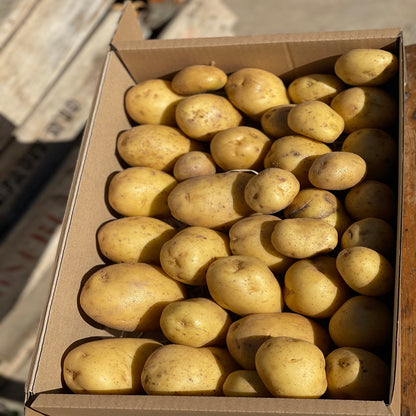 Caja de Patatas Blancas Spunta 9KG_2