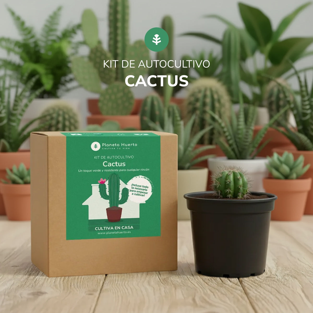 Kit de auto-cultivo de cactos Planeta Huerto