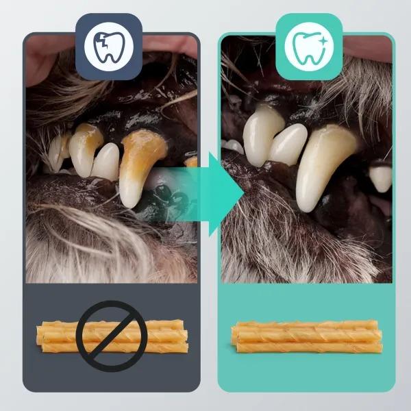 Palitos em pele de bovino twister - Snack Natural Nobleza 20 unidades