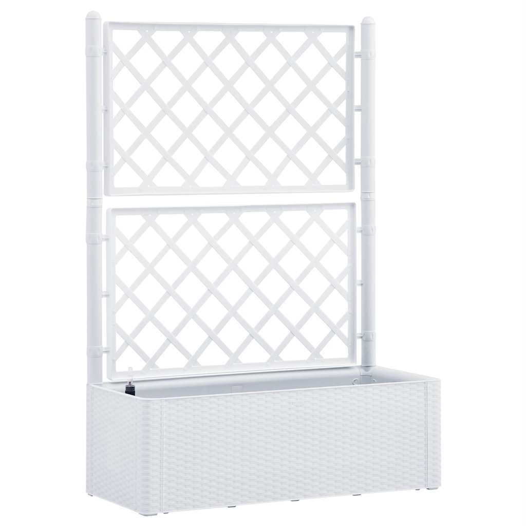 Arriate Con Enrejado Y Sistema De Riego Automático Blanco_0