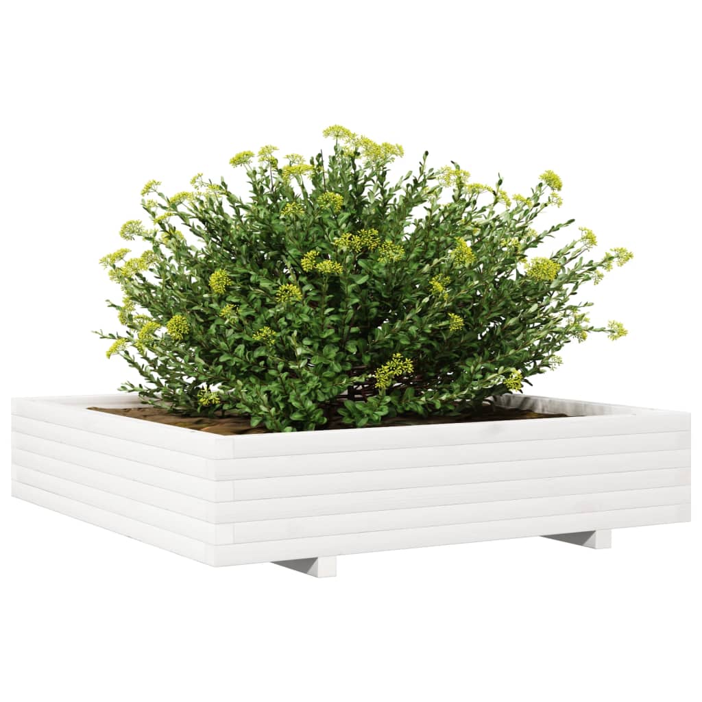 Jardinera De Madera Maciza De Pino Blanca 110x110x26,5 Cm_3