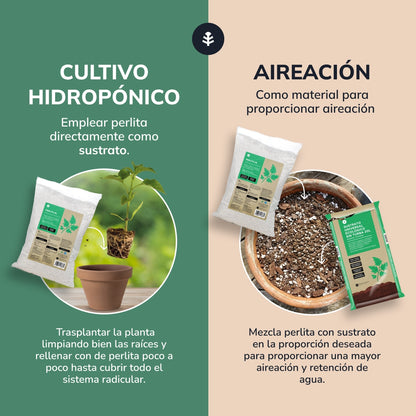 Perlite Planeta Huerto 8 Litros