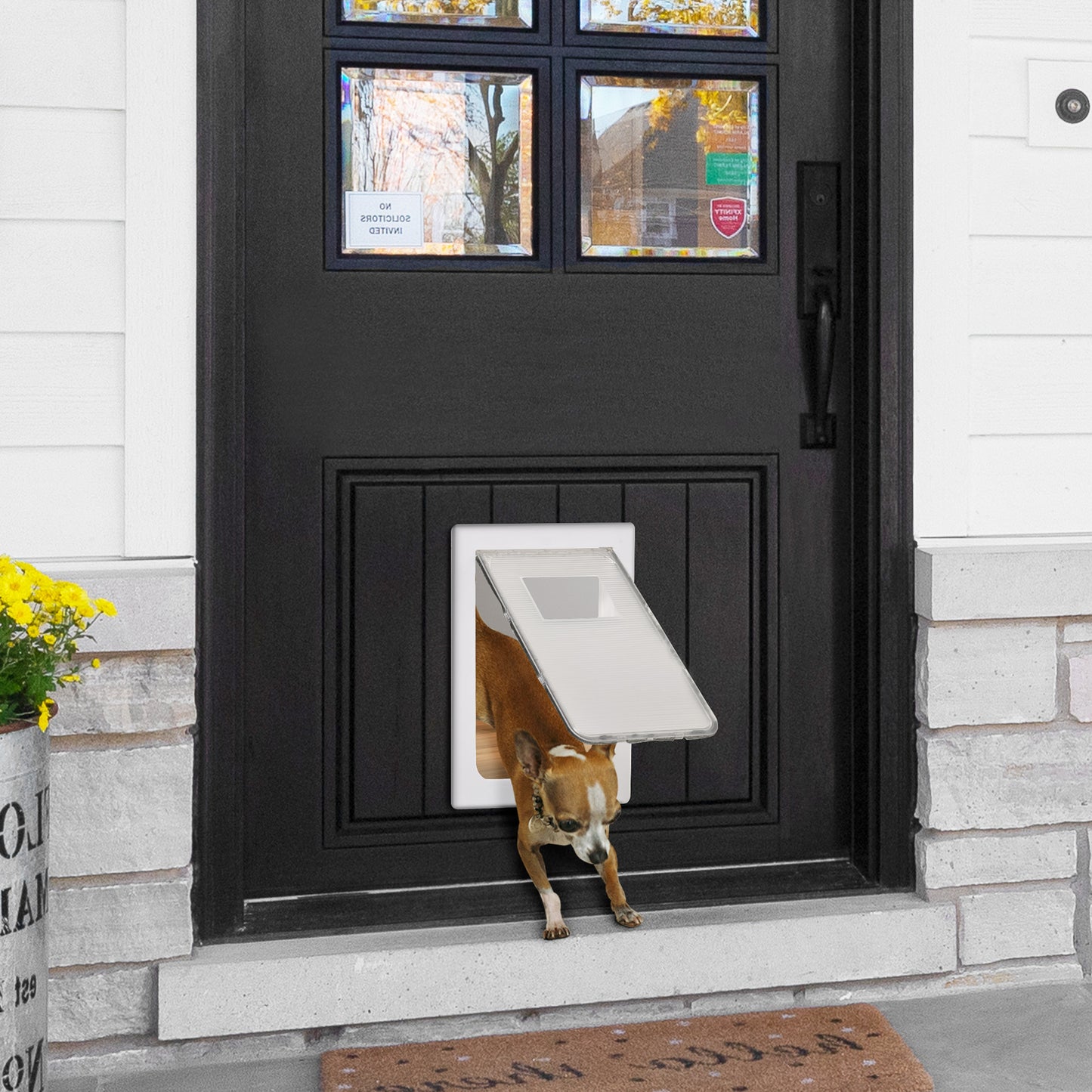 Pawhut Puerta Para Mascotas 38,6x52x5,5cm Con Cierre Magnético De 2 Vías Blanco_1