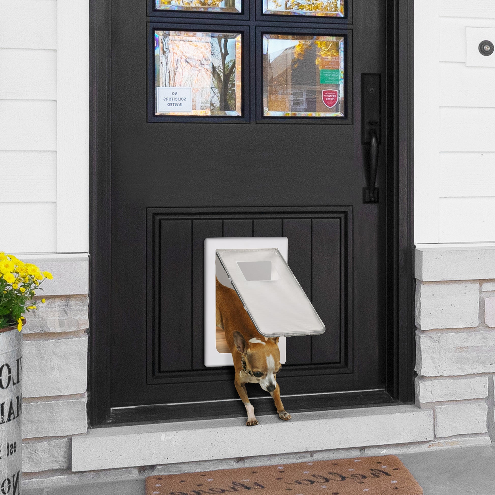 Pawhut Puerta Para Mascotas 38,6x52x5,5cm Con Cierre Magnético De 2 Vías Blanco_1