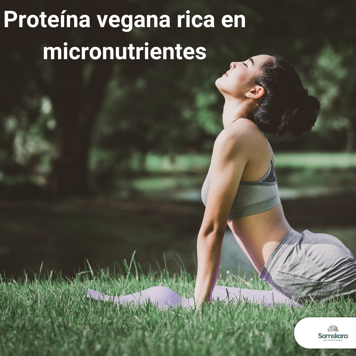 Proteína De Calabaza Bio - 500g | Proteína Vegetal Ecológica Vegana Para Batidos Y Repostería, Sin Azúcares Añadidos_4