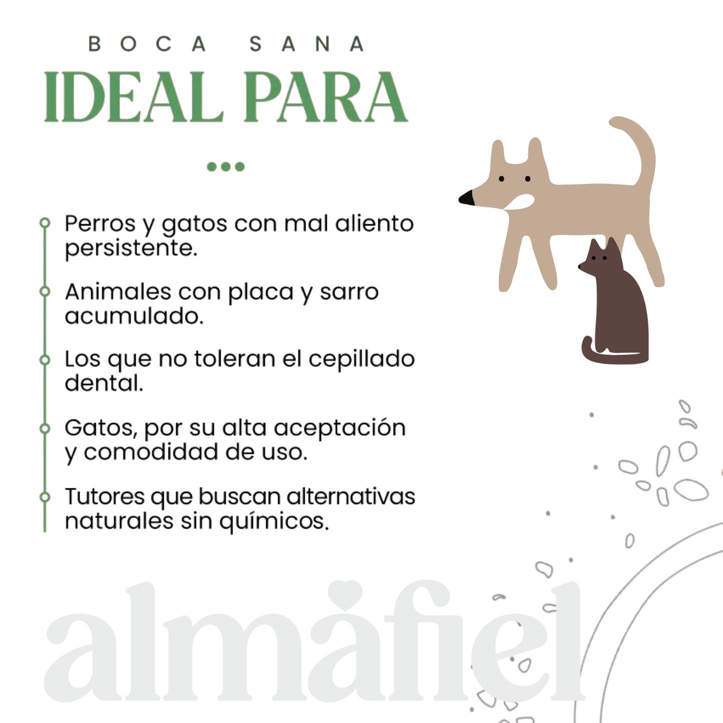 Boca Sana | Ascophyllum Nodosum | Higiene Dental De Perros Y Gatos_4