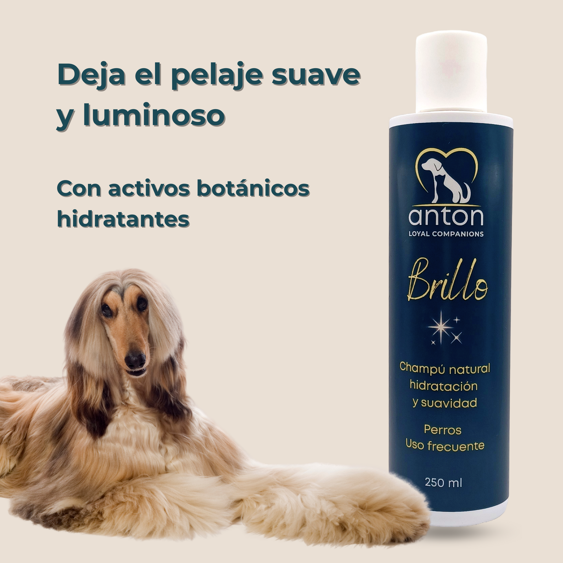 Champú natural para el cuidado del pelaje de perros – Pack 2 x 250 ml_2