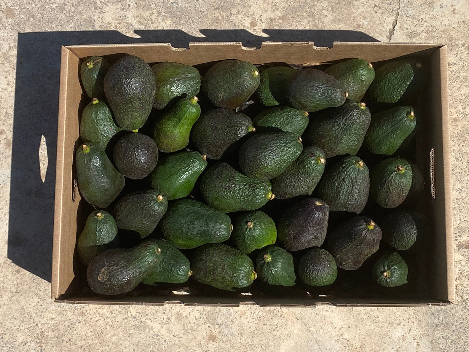 Aguacates Hass Fruta Española De Temporada Tropitop 10kg_2