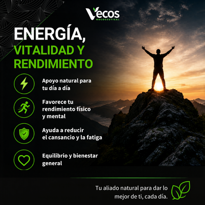 Shilajit 1400 Mg Vecos 120 Cápsulas | Energía, Vitalidad Y Testosterona | Con Zinc Y Vitamina B6_5