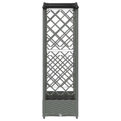 Cama Elevada Con Trellis Y Techo Gris Claro 163 X 40 X 123 Cm_3