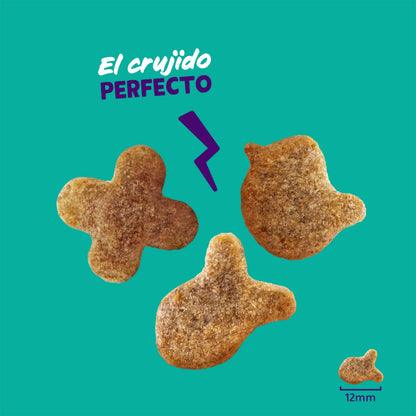Biscoitos de Salmão Natural para Gatos Edgard Cooper 50g