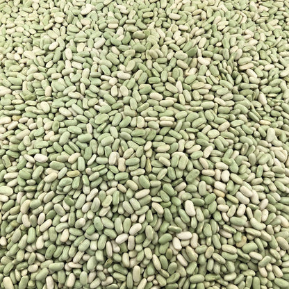 Flageolet Orgánico Granel 5 Kg_2
