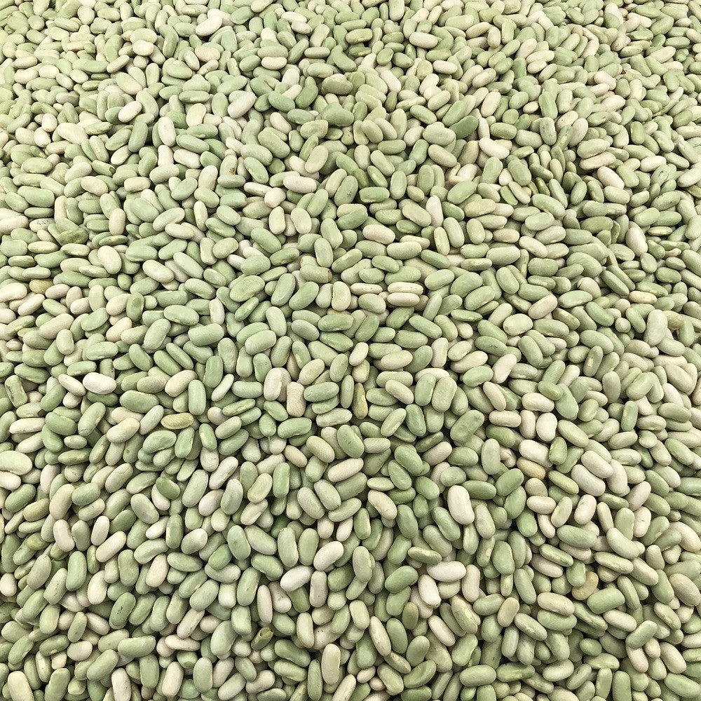 Flageolet Orgánico Granel 0,5 Kg_2