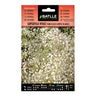 Sementes de Gypsophila vivaz Paniculata simples branca