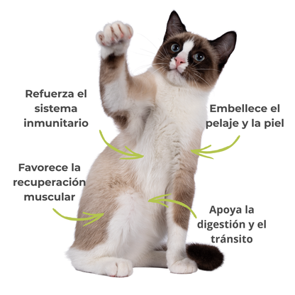 Suplemento natural para perros y gatos – Espirulina ECO Vitalidad & Defensas 100 g_3