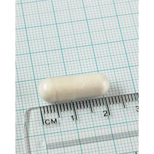 Silício 90 cápsulas Lamberts 200mg