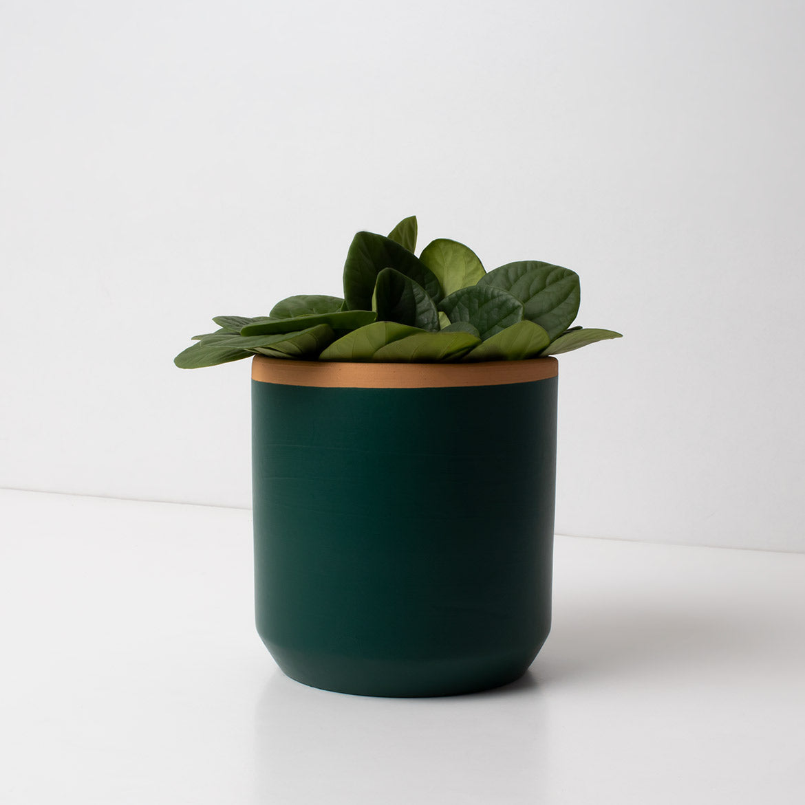 Macetero De Terracota Verde Helecho 13 Cm | Hecho A Mano Por Artesanos | Maceta Decorativa Para Plantas Interior_1