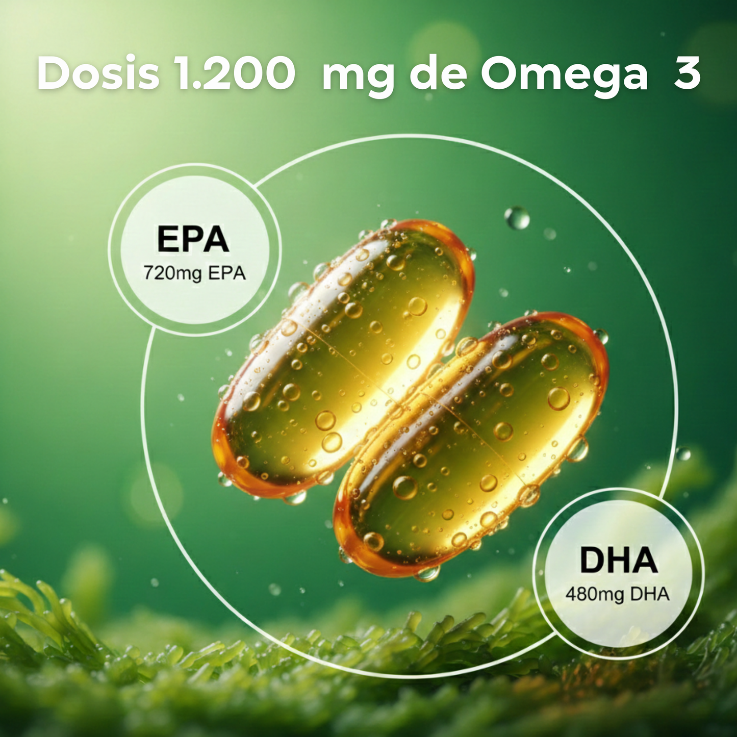 OMEGA 3 MICROALGAS VIDALIM 600: 360 mg EPA + 240 mg DHA POR CAPSULA | 60 CAPSULAS_4