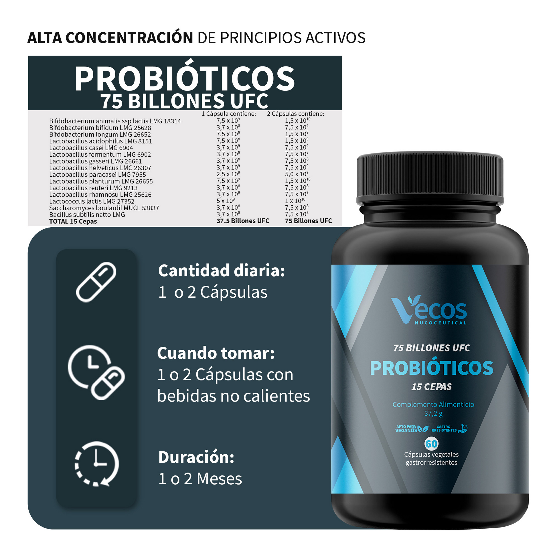 Probióticos 75 Billones Ufc Vecos 60 Cápsulas | Flora Intestinal Y Digestión | 15 Cepas + Saccharomyces_2