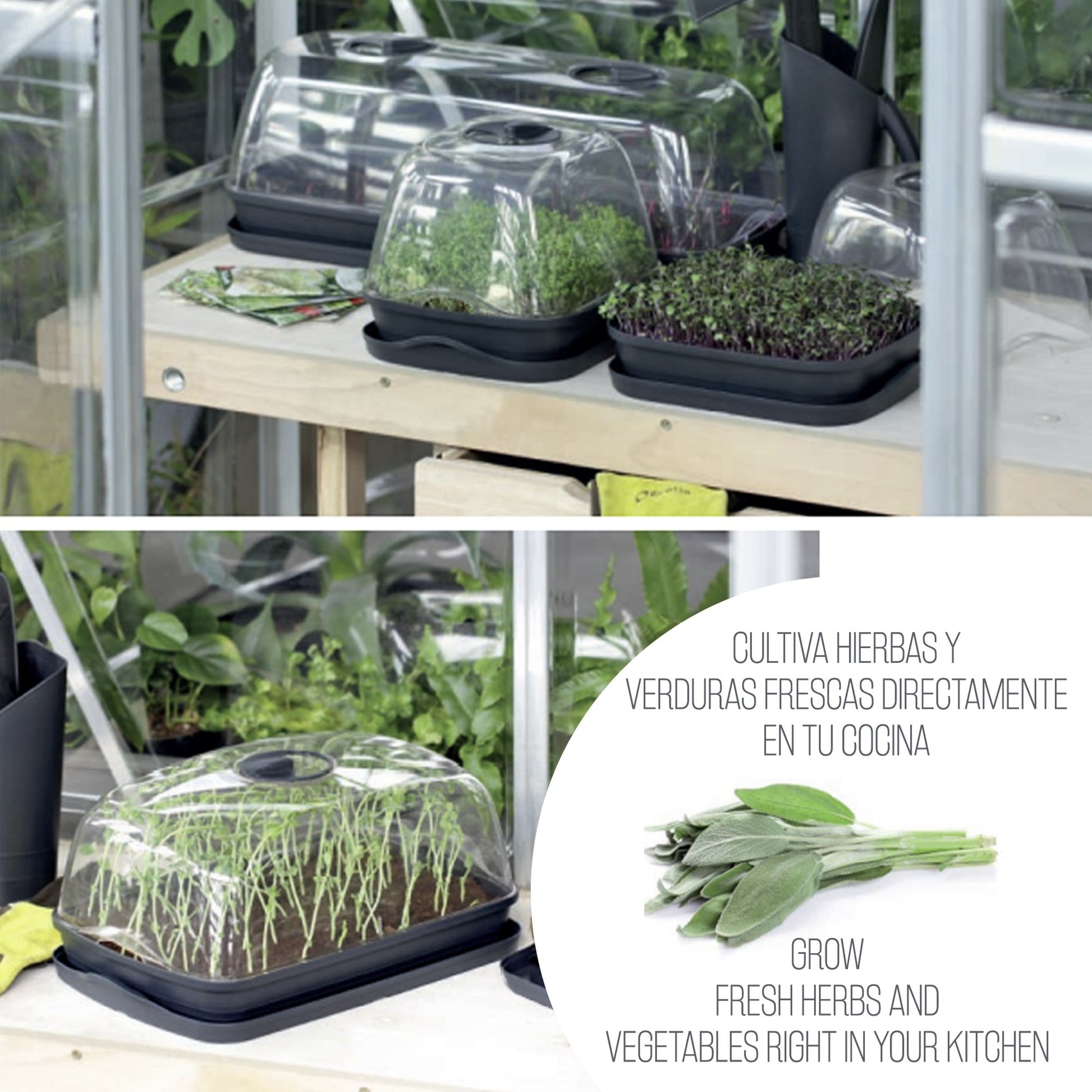Semillero/bandeja Multiusos Respana Table Greenhouse 3,6l., Dimensiones (mm) 391x257x185, Color Gris Piedra_3