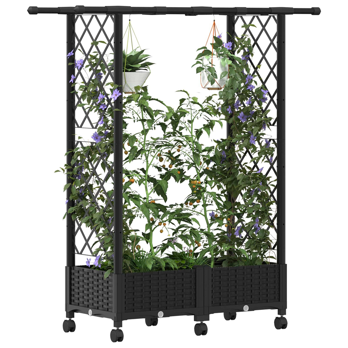 Cama Elevada Con Trellis Y Techo Negro 122,5 X 40 X 127 Cm Pp_2