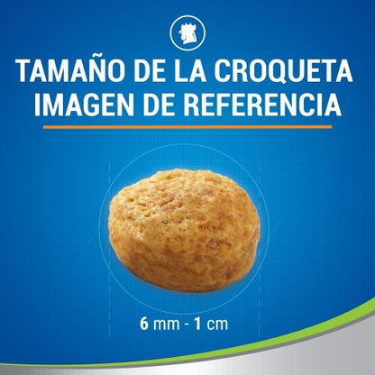 Petisco Dentário Dentalife Frango para Gatos 40 g