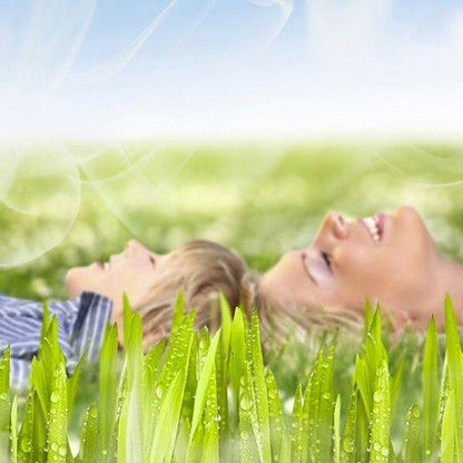 Fragrância de relva artificial Nortene 750 ml