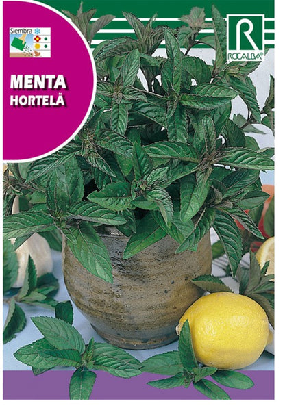 Semillas Menta 0,5g_0