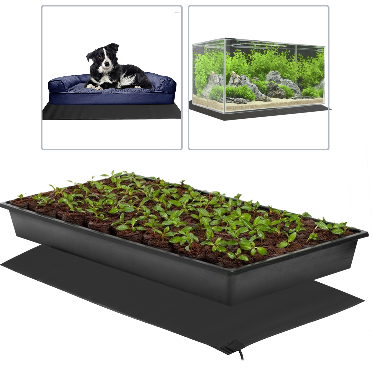 Alfombra Térmica Calefactora Para Plantas Semillero Reptiles Y Cultivo Hidropónico 527x508mm 45w_2